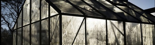 Leonie Hampton shoote les TOC