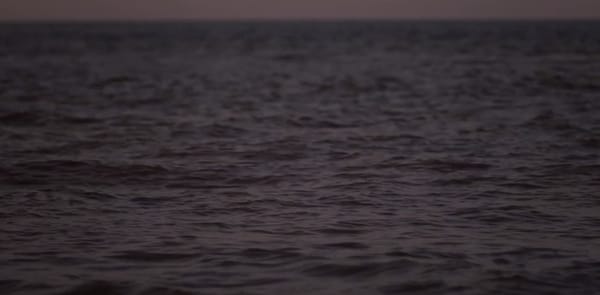 Lost memories : La Madeleine de Proust en images