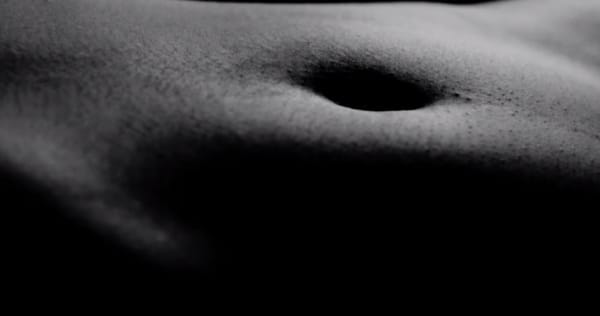 Monarchy : Almost Human