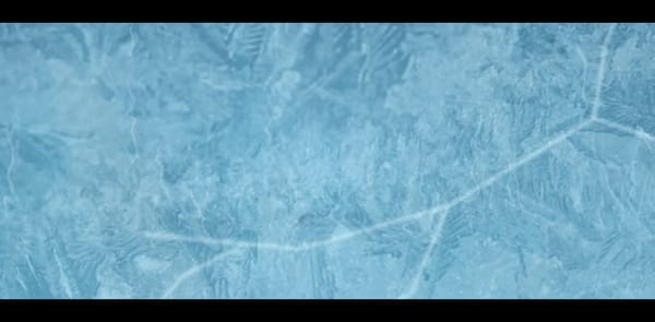 Tom Sanders :  son court-métrage craquant