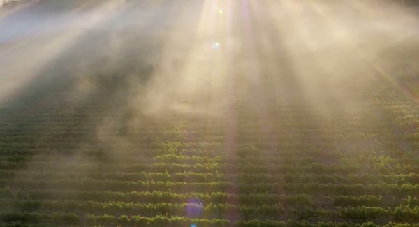 Le premier film pornographique tourné avec un drone