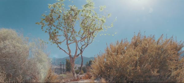 Over my head : Asaf Avidan on the road