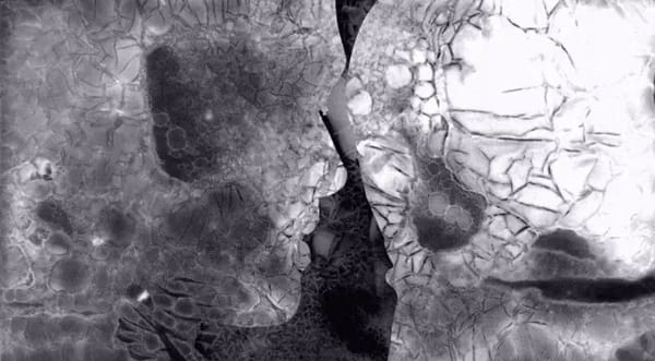 Celluloid : la vraie sensation du baiser enfin en image