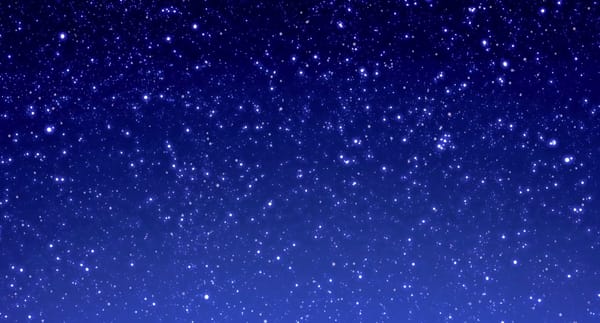 Quand Kenzo fait de l’art vidéo