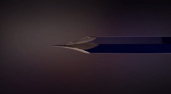 FREEDOM : it’s our best weapon