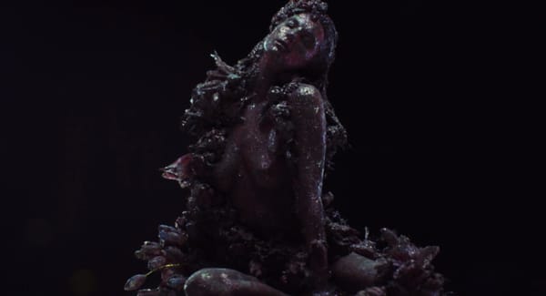 Daria Werbowy : la déesse originelle capturée par Analog