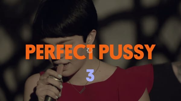 PERFECT PUSSY