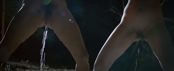 2015 vient de trouver son clip pornographique