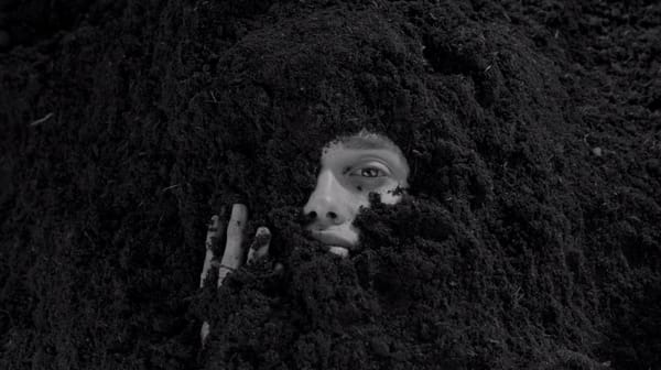 Blossom : le film de mode organique et orgasmique