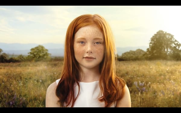 NIALL O’BRIEN : SHORT SHARP SHOCK