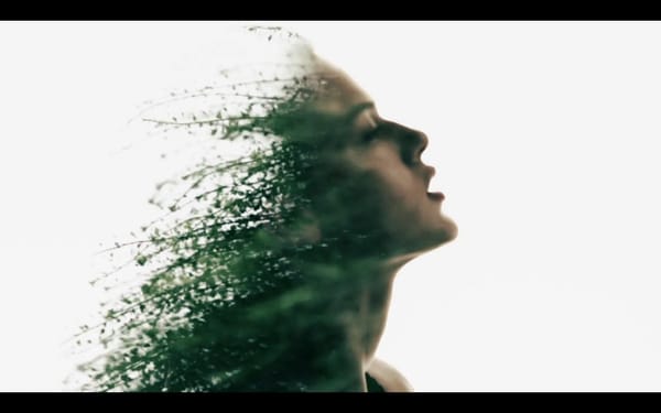 SOLVE SUNDSBO : SIMPLEMENT VISIONNAIRE