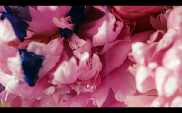 YOANN LEMOINE EST AUSSI DIRECTEUR ARTISTIQUE