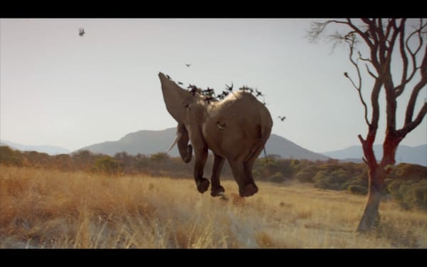 ADRIEN SERVADIO : FLAME ARTIST MAIS PAS QUE …