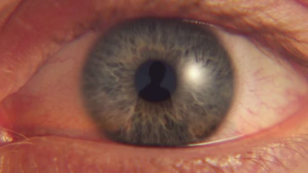 David Altobelli : Chic & Choc