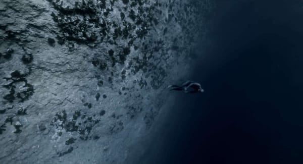 « Ocean Gravity » de Guillaume Néry & Julie Gautier