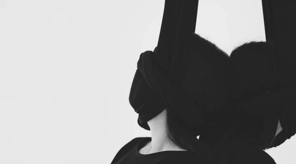 Milk & Bone – New York