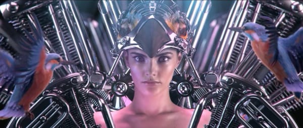 Le collectif Dvein : sniper visuel