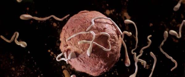 MOI, INTERNET : LE FILM QUI FAIT PENSER LE WEB