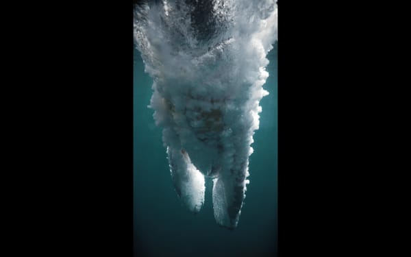 Premier film tourné en haute vitesse, en 4K, en vertical et en sous-marin