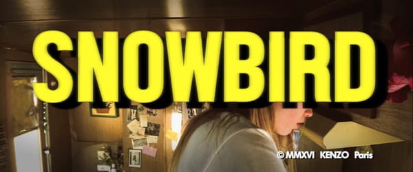 Bienvenue dans l’ère des films professionnels tournés avec un iPhone