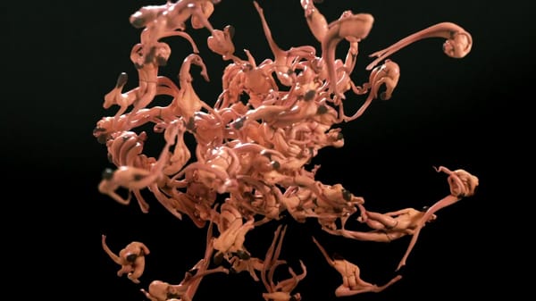 Albert Omoss utilise le code pour créer des logiciels et des logiciels pour créer de l’art