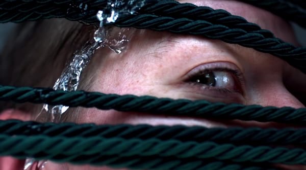 Perttu Saksa, artiste et clippeur remarquable