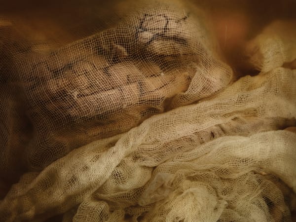 Les incroyables photos de cerveaux oubliés dans un hôpital psychiatrique