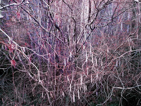 Jean-Vincent Simonet : « J’aime que mes images agressent l’oeil »