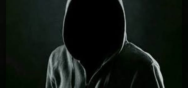 La Vengeance des Stagiaires