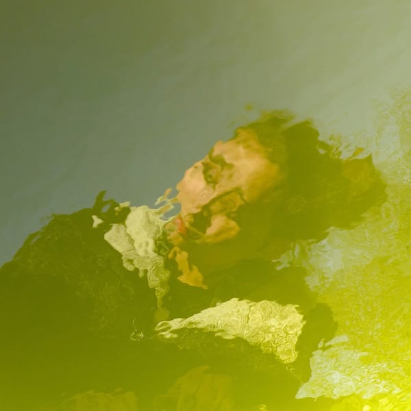 Anton F : Le photographe des reflets vivants