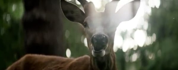 Metronomy – Everything Goes My Way