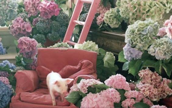 Luke Losey s’associe à Tim Walker pour signer un film pour Mullberry