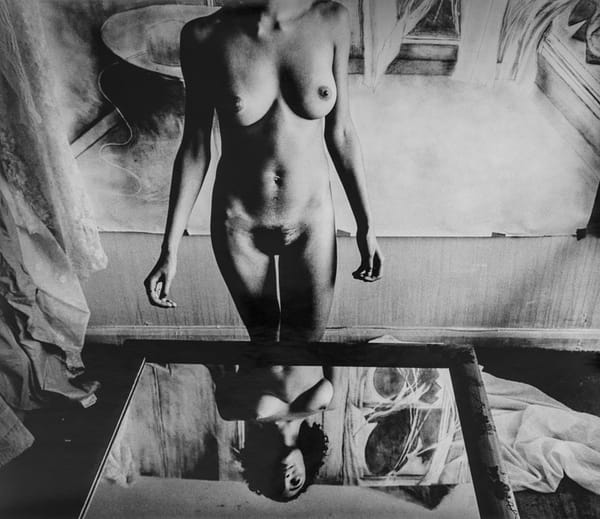 Naked Reflections Photographies de Peter Suschitzky