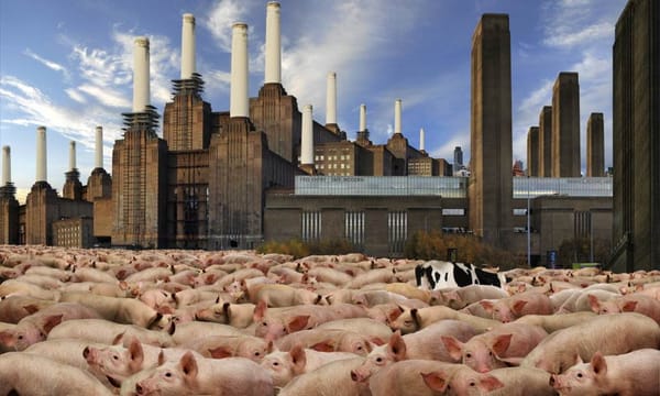 Jean-François Rauzier, bestiaire touristique