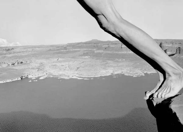 Paris Photo 2014 : Nos 10 premiers coups de coeur