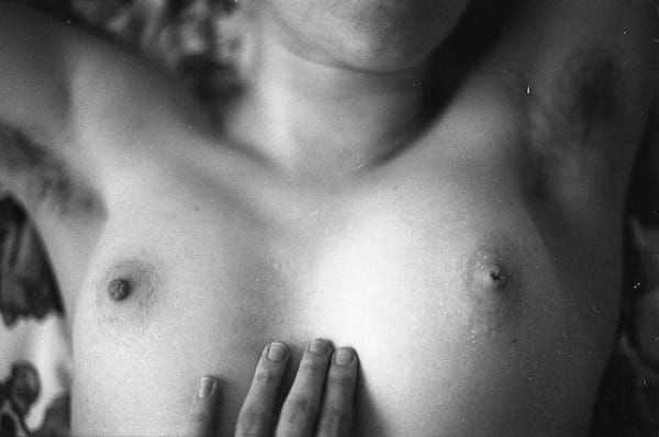 Selina Mayer ou le mystère de la chambre noire