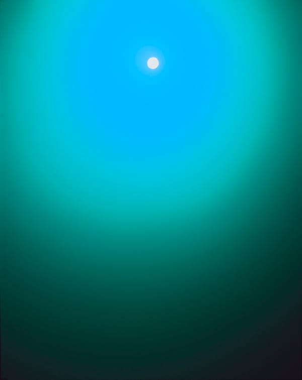 Shan Feiming : Waking from hibernation