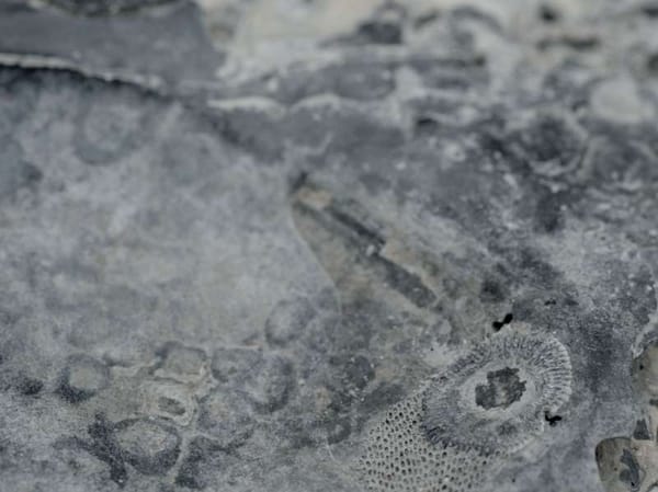 « Keep some hope » : clip d’un autre monde