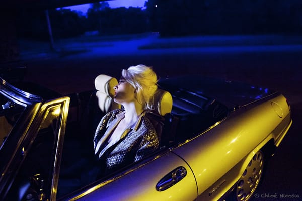 S.R. KREBS – « SHE LIKE »