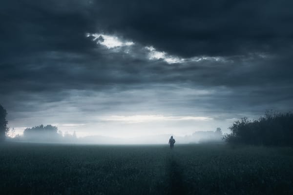 Mikko Lagerstedt : Les ciels