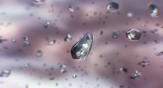 « Tactile Waveforms » – Nando Costa