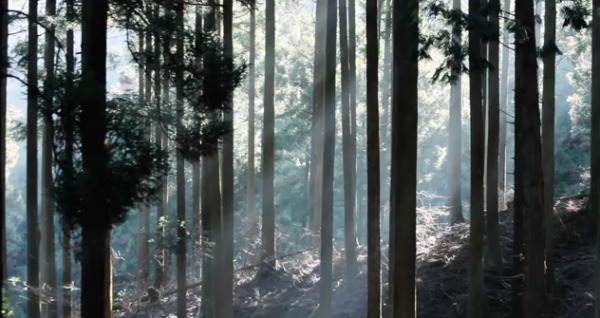 Un film créatif et ingénieux pour la marque NTT Docomo