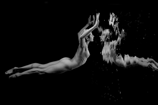 DarkAngelØne : GIF Artist sans limites