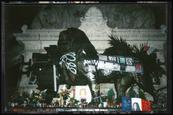 Brandon Wilkins : 18 ans et déjà un talent démentiel