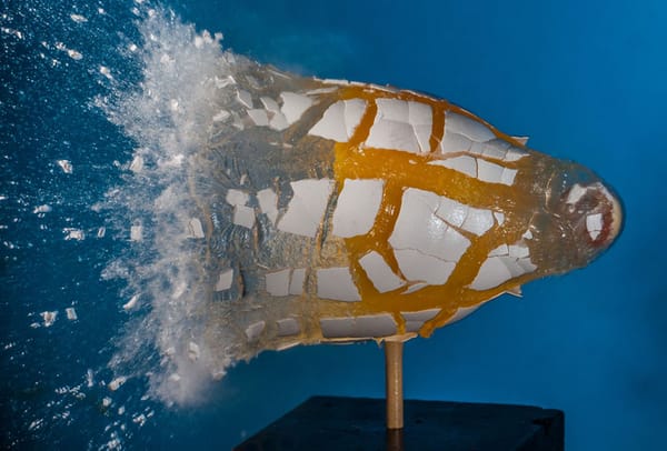 Alan Sailer: photographe de la collision