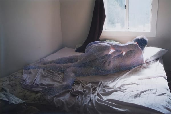 Sarah Anne Johnson : les métamorphoses du sexe