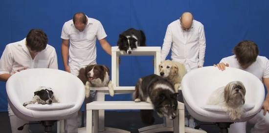 Trish Sie réalise « White Knuckles » pour le groupe Ok Go