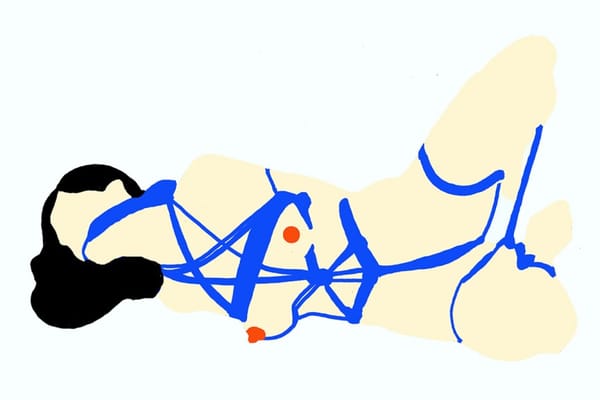 Xavier Shiapani : illustration du sexe joyeux