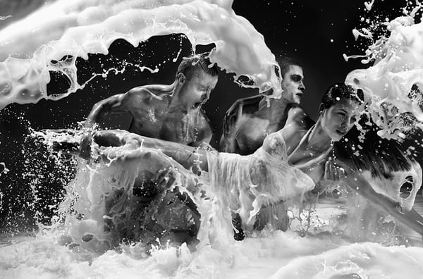 Lumière sur Zach Gold