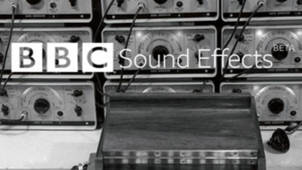 16 000 sons, bruits et enregistrements hyper chelous à télécharger gratuitement sur la BBC